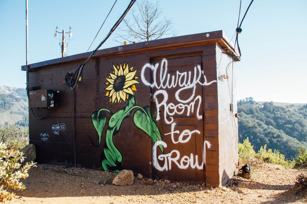 A message of self-growth on a garden shed
